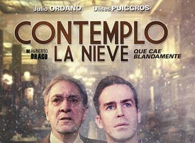 Contemplo la nieve que cae blandamente - 2x1