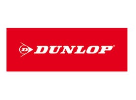 Dunlop - 20%