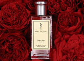 Roses are Roses - 30%