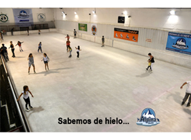 Alpina Skate - 20%