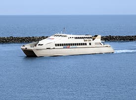 Seacat - 2x1