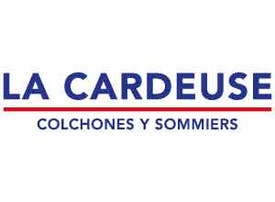 La Cardeuse - 25%
