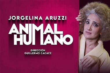 ANIMAL HUMANO