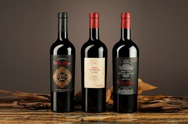 BODEGA PIEDRA NEGRA