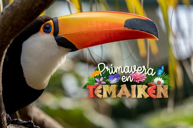 Descuentos en TEMAIKEN con Club LA NACION
